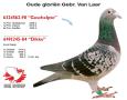 Oude gloriën Gebr. Van Laer