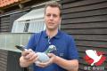 Karlo Van Rompaey toont fier “Prima Dora”, winnares van Nationaal Bourges bij de oude duiven.